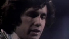 Don Mclean - Vincent