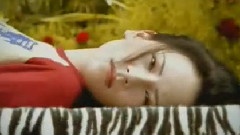 杨乃文 - 静止