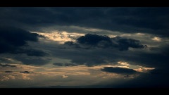 Paul Wex - Blown Four