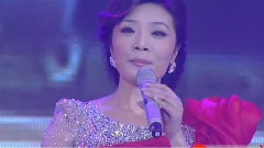 李丹阳 - 映山红