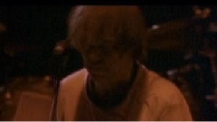 Neil Young - Year Of The Horse