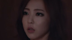 WINGS - Blossom