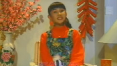 吴泓君 - 小萍萍的新年愿望