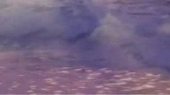 Omar Akram - Dancing With The Wind
