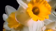 音乐短片,Richard Clayderman - Music Box Dancer