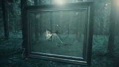 Insomnium - Through The Shadows