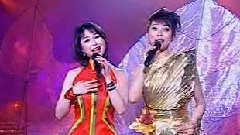 华语群星 - 花儿与少年