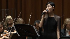 王菲 - 舒伯特小夜曲