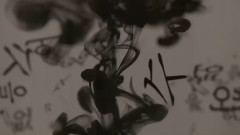 金延宇 - 解毒剂