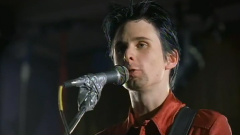 Muse - Muscle Museum