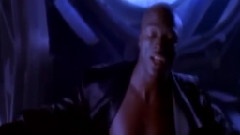 Seal - Kiss From A Rose