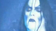 Vredesbyrd