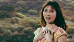 张灜仁 - 三次情