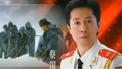 蔡国庆 - 大雪无情人有情