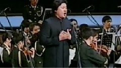 戴玉强 - 无悔的选择