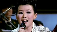 柏文 - 戈壁马兰