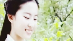 刘亦菲 - 如花似玉