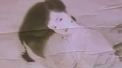 影视原声,王祖贤 - 人生如此