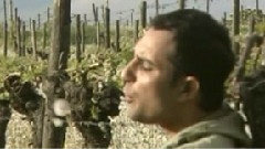 Rafet El Roman - Yalanci $ahidim