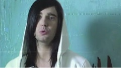 Stereos - Butterflies