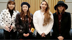 2NE1 - 演唱会问候视频