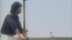 蔡国权 - 再见也许不再会