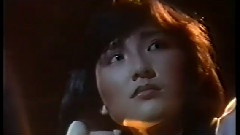 刘美君 - 最后一夜