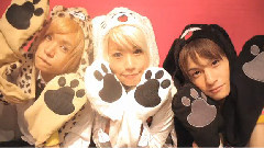 舞蹈视频,模仿翻唱 - マイティボンジャック