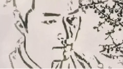 胡歌 - 琅琊榜梅长苏