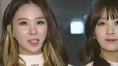 Nine Muses - 演艺新闻