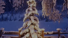 Ernesto Cortazar - Silent Night
