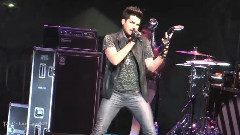 Adam Lambert - Fever