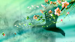 Chris Spheeris,音乐短片 - Dancing With The Muse