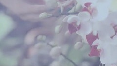 非关爱情