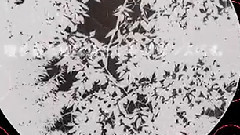 镜音双子,初音未来 - 心情维持