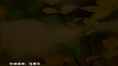赵海洋 - 如花意梦