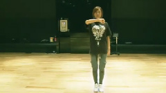 2NE1 - Can't Nobody 舞蹈教学