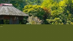 轻音乐 - 富士山下的山梨县