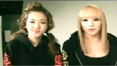 2NE1 - 2010 YG Family Concert Spot