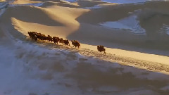 音乐短片,Enigma - Following The Sun