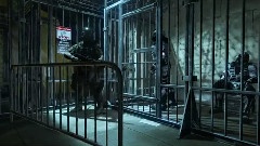 游戏原声 - Crysis 2