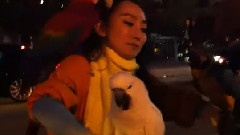萨顶顶 - 美国之行之街头趣事2