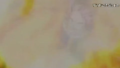 群星 - <热血起航>