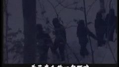 群星 - 还想再当一次兵