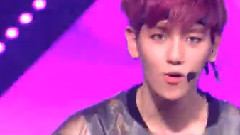 EXO,EXO-M,EXO-K - Wolf