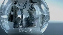 魏瑛侠 - 伤心夜