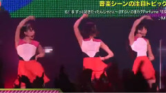 Perfume - JCD Perfume Cut