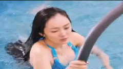甄子丹,古天乐,陈慧琳,吴君如,杨幂 - 电影<八星抱喜>