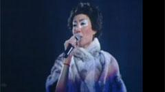 王菲 - 但愿人长久