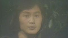 许冠杰 - 知音梦里寻